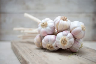 numerous-health-benefits-of-garlic