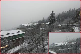 snowfall in kinnaur