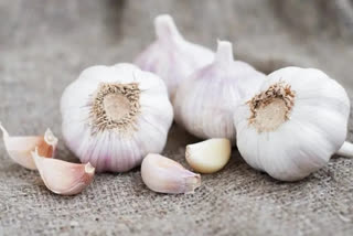 GARLIC