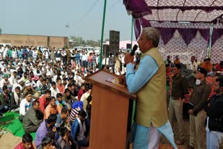 Animal Exhibition in Bhiwani