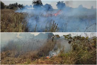 Electric transformer bursting burnt maize