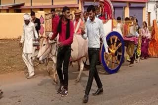 Tradition of Chhattisgarh procession on bullock cart