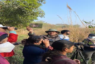 delhi-bird-foundation-nature-walk-program-on-the-banks-of-yamuna