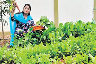 Deputy Chief Minister grows vegetables