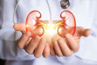 Reduction in air pollution can help improve kidney function, how pollution affects kidneys, how to maintain kidney health