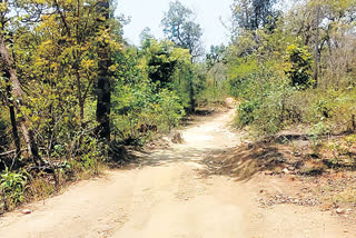 No Basic Facilities in villages, villagers problems