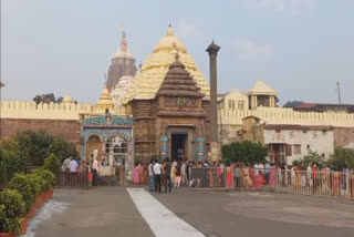 Covid vax certificate no more required for darshan at Jagannath Temple