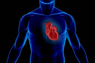 गंभीर समस्या है हार्ट ब्लॉकेज, heart blockage is a serious condition, tips to maintain heart health, how to have a healthy heart, cardiac health. coronary artery disease