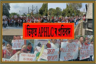 aphlc-protest-against-bjp-govt-at-diphu