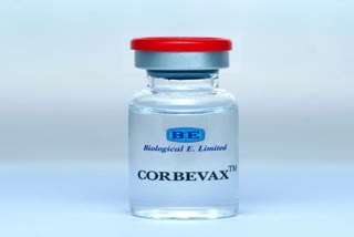 कोरोना वैक्सीन Corbevax