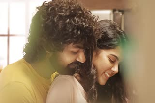 Kalyani Priyadarshan Pranav Mohanlal chemistry  Kalyani Priyadarshan on Pranav Mohanlal  Hridayam release  Hridayam box office  കല്യാണിക്ക്‌ കൂടുതലും പറയാന്‍ ഉള്ളത്‌ പ്രണവിനെ കുറിച്ച്‌