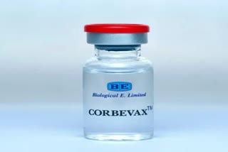DCGI એ 12 થી 18 વર્ષની વયના બાળકો માટે કોરોના રસી Corbevax ને મંજૂરી આપી