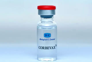 Covid jab Corbevax  biological e ltd covid vaccine  DCGI  കോർബെവാക്‌സ്  ഡിസിജിഐ  കോർബെവാക്‌സ് അടിയന്തര ഉപയോഗ അനുമതി  ബയോളജിക്കൽ ഇ ലിമിറ്റഡ്
