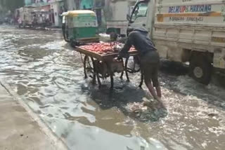 बादली विधानसभा की समस्याएं