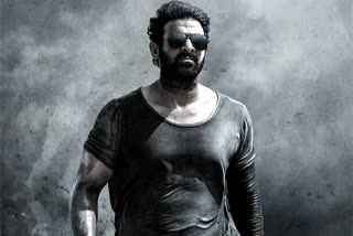 prabhas salaar movie