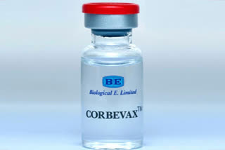 corbevax vaccine for Children, children corona vaccine