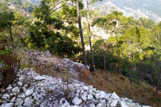 several-people-died-due-to-max-falling-in-ditch-carrying-baraatis-in-champawat