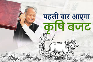 Rajasthan Farm Budget