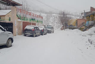 snowfall in lahaul