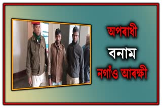 একেদিনাই পৃথক পৃথক অভিযানত অপৰাধীৰ বিৰুদ্ধে বৃহৎ সফলতা নগাঁও আৰক্ষীৰ