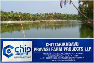 Chittarikkadav Pravasi Farm Project  CHIP Fish Farm Kannur  Expatriate fish farm in Chittarikkadavu  ചിറ്റാരിക്കടവില്‍ പ്രവാസികളുടെ മത്സ്യ ഫാം ഒരുങ്ങുന്നു  ചിറ്റാരിക്കടവ് പ്രവാസി ഫാം പ്രോജക്ട്  പ്രവാസി കൂട്ടായ്മയിൽ ഓരുജല മത്സ്യഫാം