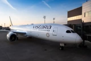 Vistara airlines concept photo