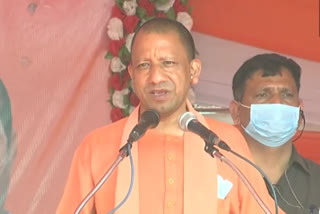 cm yogi