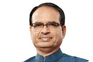 Madhya Pradesh Chief Minister Shivraj Singh Chouhan has declared two towns, including Jain pilgrimage centre Kundalpur, as "holy areas" and said the sale of meat and liquor will be banned there.