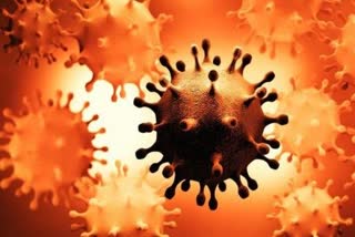 corona infection rate reduced in chhattisgarh