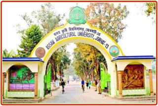 Assam Agriculture University