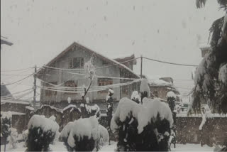 Fresh snowfall in Kashmir; flights delayed