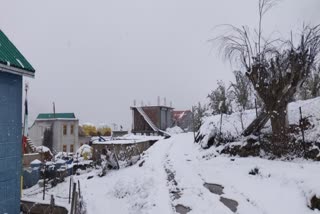 Heavy snowfall disrupts normal life in Kashmir