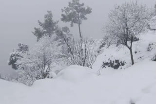 Snowfall Causes Damage to Houses