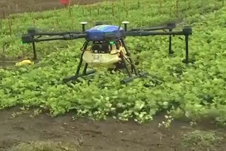 Drone Usage In Agriculture