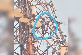 man climbed the cell tower protested