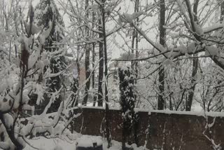 heavy snowfall in kashmir