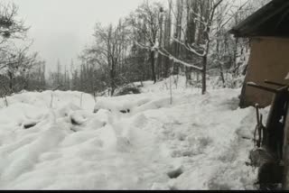 Control Room Established By Awantipora Police: برفباری کے دوران اونتی پورہ پولیس نے کنٹرول روم قائم کیا