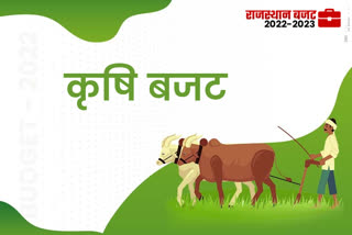 Rajasthan Agriculture budget