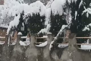 Snowfall Affects Life in Kashmir Valley: تازہ برف باری سے وادی میں معمولات زندگی متاثر