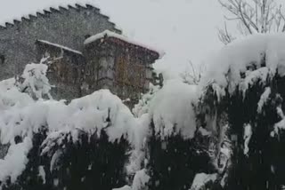 Jammu and kashimira heavy fresh snow affects daily life in the valley