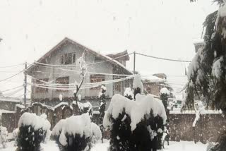 Snowfall in Kashmir