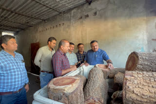 Red Sandalwood Smuggling In Surat