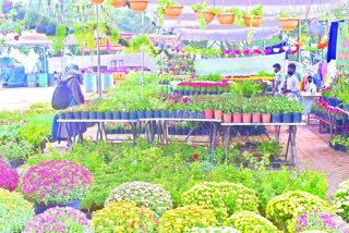 Grand Nursery Fair for 5 days in Hyderabad starting today