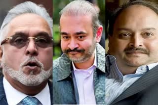 neerav modi, mehul choksi, vijay malya