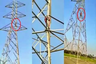 A Child Climbed on High Tower Video Viral