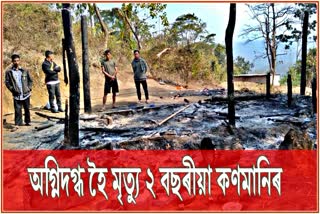 One house gutted in Dima Hasao