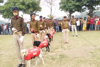 डॉग स्क्वायड टीम