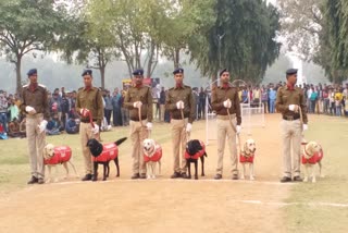 डॉग स्क्वायड टीम का बेहतरीन प्रदर्शन