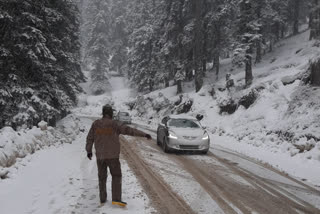 snowfall in shimla district