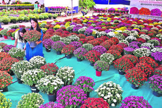 Huge response to grand Nursery Fair in hyderabad